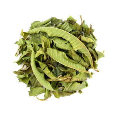 Verveine Citronnelle (Aloysia triphylla)
